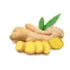 Organic Ginger